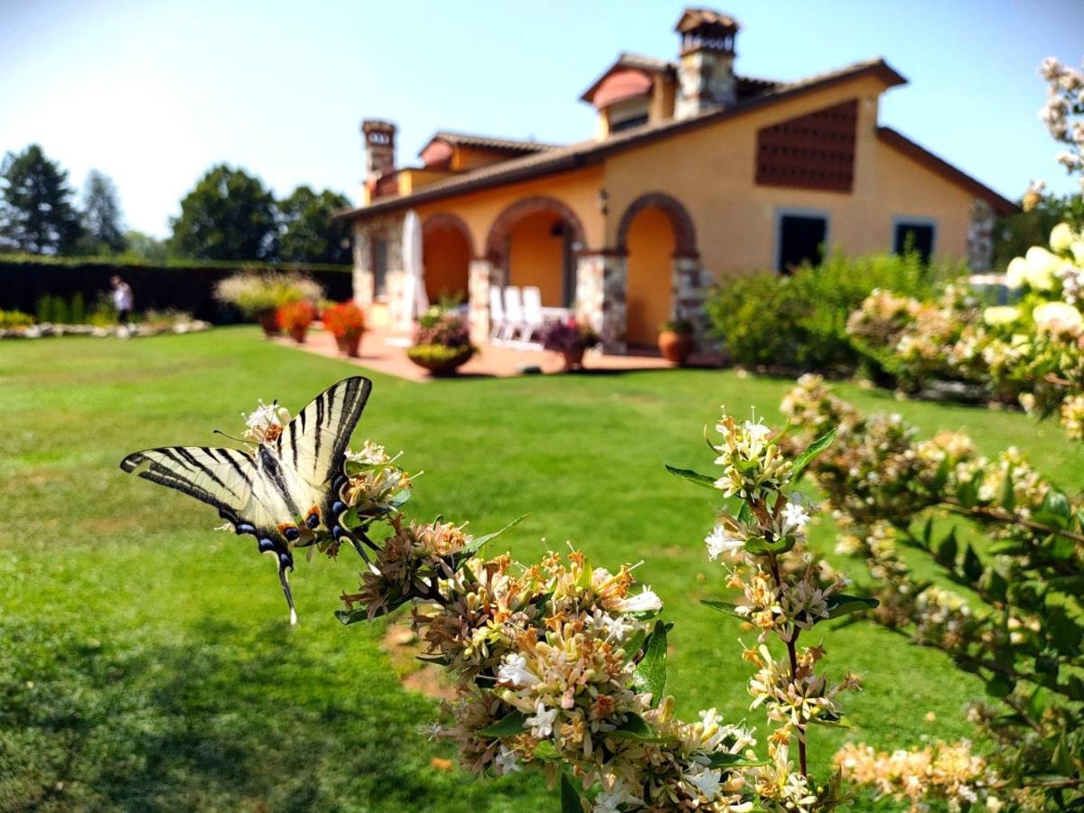 Tuscan Villa Exclusive Use Of Private Pool A/C Wifi Villa Briciola Capannori Buitenkant foto