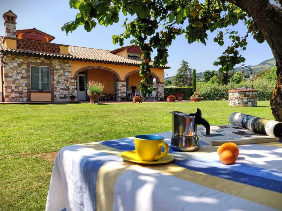 Tuscan Villa Exclusive Use Of Private Pool A/C Wifi Villa Briciola Capannori Buitenkant foto