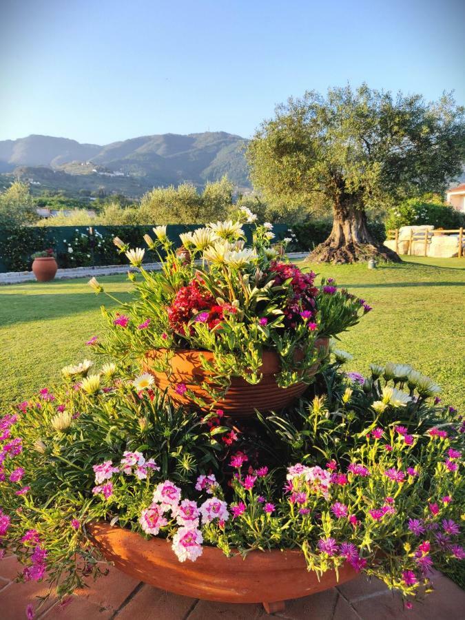 Tuscan Villa Exclusive Use Of Private Pool A/C Wifi Villa Briciola Capannori Buitenkant foto
